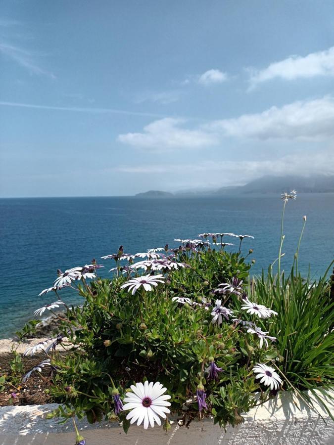 Mirabello Sea House Agios Nikolaos  Ngoại thất bức ảnh